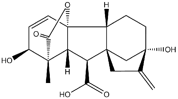 赤霉素GIBBERELLIC ACID，居然有這么神奇？